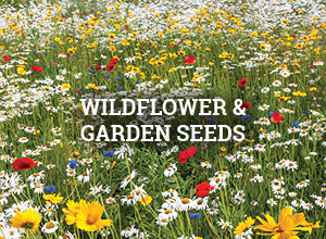 Wildflower and Garden Seeds